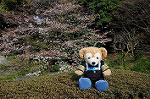Dcim5885/DSC_8395