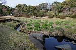 Dcim5885/DSC_8410
