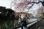 Dcim5885/DSC_8467