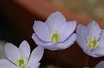 Dcim5886/DSC_3020
