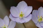 Dcim5886/DSC_3021