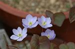 Dcim5886/DSC_3028