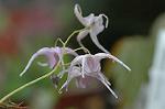 Dcim5886/DSC_3044