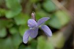 Dcim5886/DSC_3069