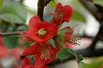 Dcim5886/DSC_3099