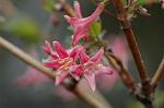 Dcim5886/DSC_3113