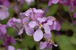 Dcim5887/DSC_3132