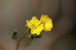Dcim5887/DSC_3165