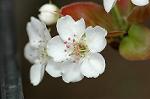 Dcim5887/DSC_3183