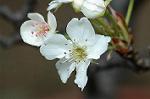 Dcim5887/DSC_3184