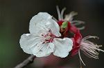 Dcim5887/DSC_3218