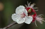 Dcim5887/DSC_3220