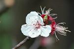 Dcim5887/DSC_3222