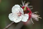 Dcim5887/DSC_3224