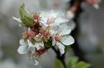 Dcim5887/DSC_3228