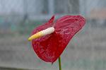 Dcim5888/DSC_3333