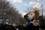 Dcim5890/DSC_8608