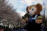 Dcim5890/DSC_8613