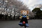 Dcim5890/DSC_8621