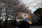 Dcim5890/DSC_8623
