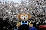 Dcim5890/DSC_8626