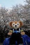 Dcim5890/DSC_8627