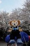 Dcim5890/DSC_8628
