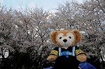 Dcim5890/DSC_8629