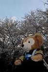 Dcim5890/DSC_8632