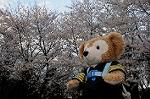 Dcim5890/DSC_8633
