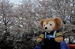 Dcim5890/DSC_8635