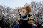 Dcim5890/DSC_8636