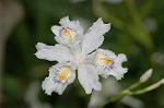 Dcim5891/DSC_3392
