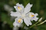 Dcim5891/DSC_3393