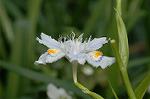 Dcim5891/DSC_3394