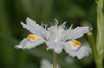 Dcim5891/DSC_3397