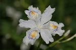 Dcim5891/DSC_3399