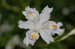 Dcim5891/DSC_3400