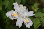 Dcim5891/DSC_3402