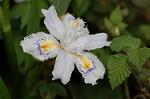 Dcim5891/DSC_3404