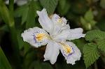 Dcim5891/DSC_3405