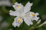 Dcim5891/DSC_3406