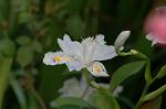 Dcim5891/DSC_3408