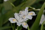 Dcim5891/DSC_3412