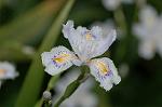 Dcim5891/DSC_3415