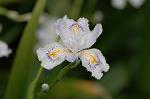 Dcim5891/DSC_3416