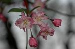 Dcim5891/DSC_3421