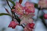 Dcim5891/DSC_3422