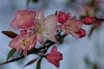 Dcim5891/DSC_3424
