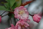 Dcim5891/DSC_3427